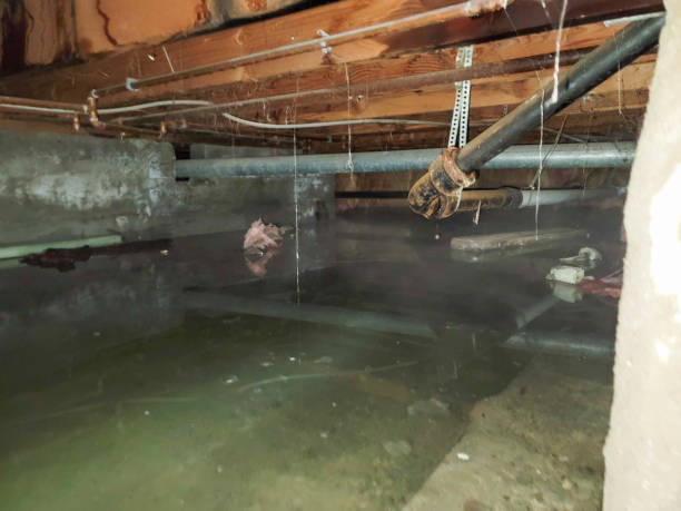 Best Sewage cleanup and water damage restoration  in Johnson City, KS