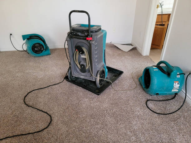 Carpet water damage restoration in Johnson City, KS