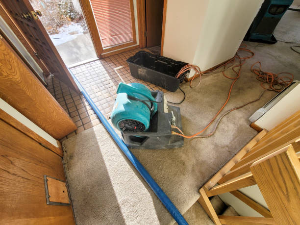 Best Carpet water damage restoration  in Johnson City, KS