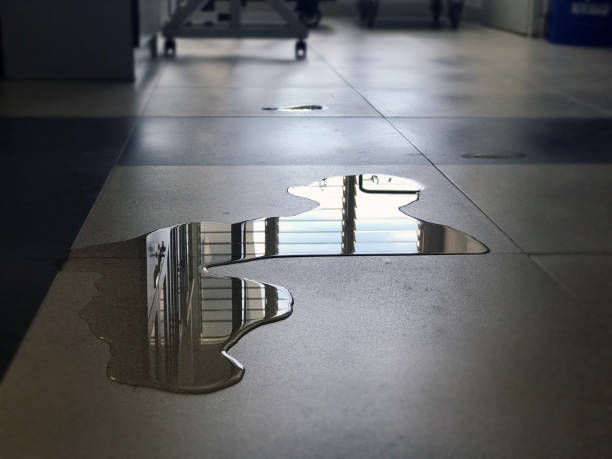 Best Water damage restoration process  in Johnson City, KS