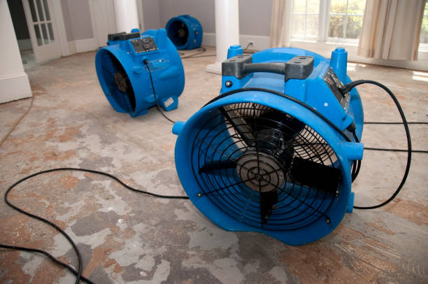 Sewage cleanup and water damage restoration in Johnson City, KS