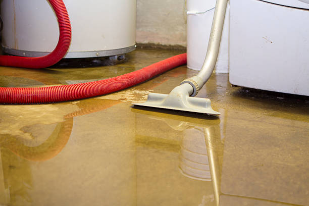 Best 24-hour water damage restoration  in Johnson City, KS