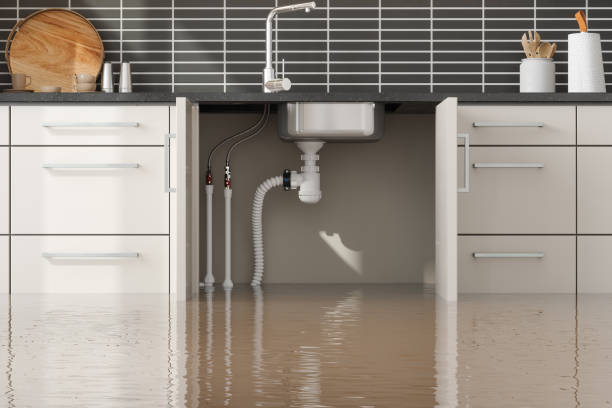Best Commercial water damage restoration  in Johnson City, KS
